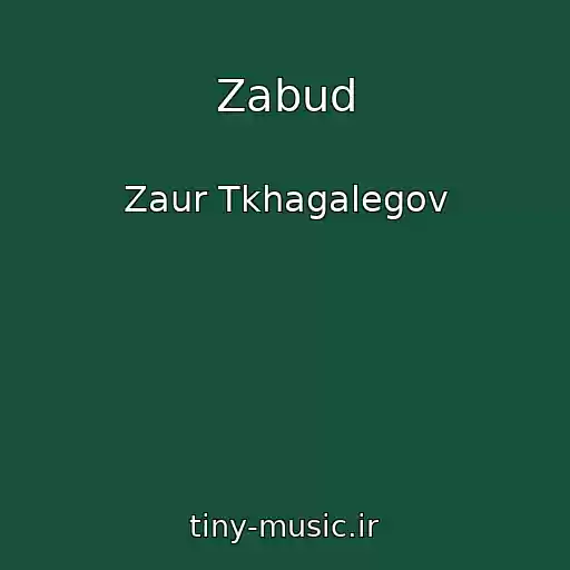 کاور آهنگ Zabud از Zaur Tkhagalegov