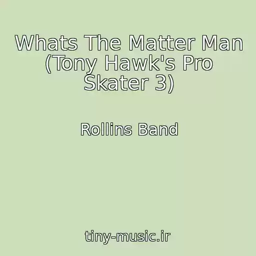 کاور آهنگ Whats The Matter Man (Tony Hawk's Pro Skater 3) از Rollins Band