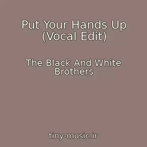 کاور آهنگ Put Your Hands Up (Vocal Edit) از The Black And White Brothers