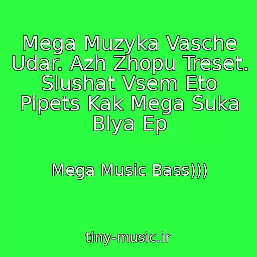 کاور آهنگ Mega Muzyka Vasche Udar. Azh Zhopu Treset. Slushat Vsem Eto Pipets Kak Mega Suka Blya Ep از Mega Music Bass)))