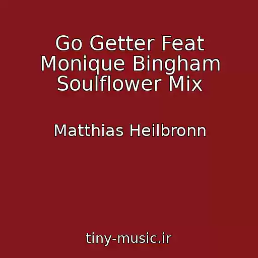 کاور آهنگ Go Getter Feat Monique Bingham Soulflower Mix از Matthias Heilbronn