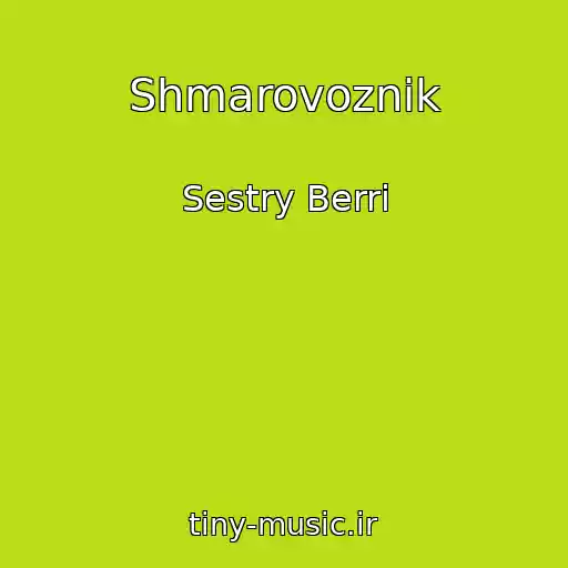 کاور آهنگ Shmarovoznik از Sestry Berri