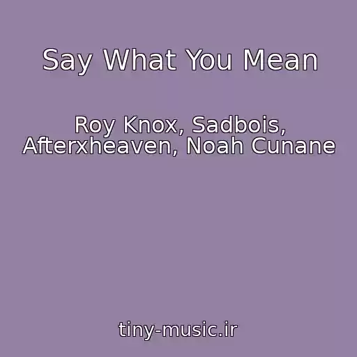 کاور آهنگ Say What You Mean از Roy Knox, Sadbois, Afterxheaven, Noah Cunane