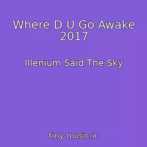 کاور آهنگ Where D U Go Awake 2017 از Illenium Said The Sky