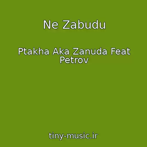 کاور آهنگ Ne Zabudu از Ptakha Aka Zanuda Feat Petrov
