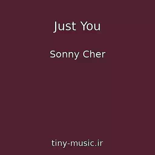 کاور آهنگ Just You از Sonny Cher