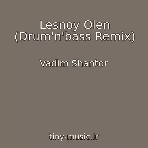 کاور آهنگ Lesnoy Olen (Drum'n'bass Remix) از Vadim Shantor