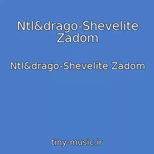 کاور آهنگ Ntl&drago-Shevelite Zadom از Ntl&drago-Shevelite Zadom