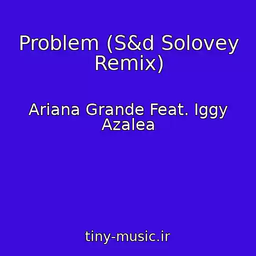 کاور آهنگ Problem (S&d Solovey Remix) از Ariana Grande Feat. Iggy Azalea