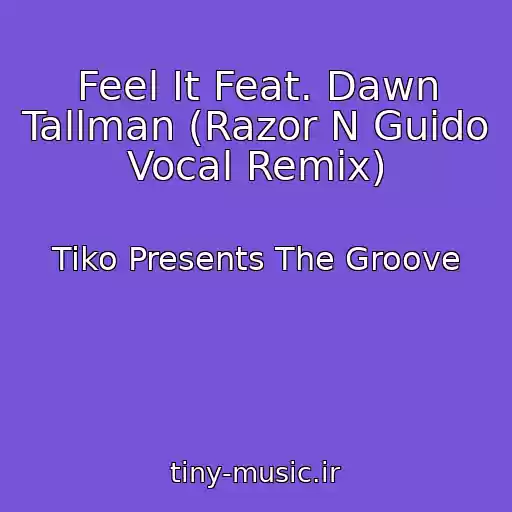 کاور آهنگ Feel It Feat. Dawn Tallman (Razor N Guido Vocal Remix) از Tiko Presents The Groove