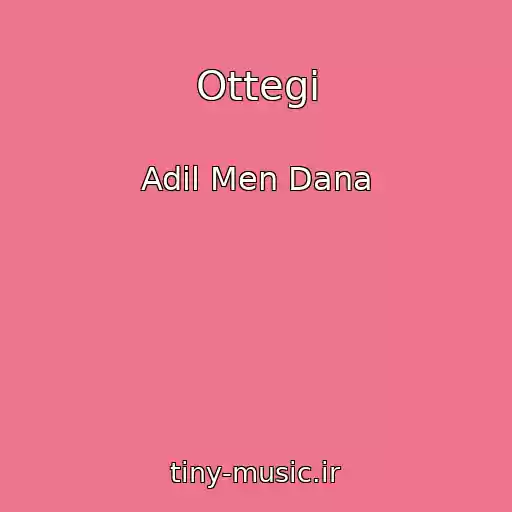 کاور آهنگ Ottegi از Adil Men Dana
