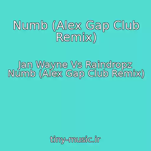 کاور آهنگ Numb (Alex Gap Club Remix) از Jan Wayne Vs Raindropz Numb (Alex Gap Club Remix)