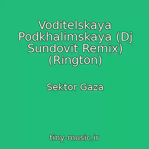 کاور آهنگ Voditelskaya Podkhalimskaya (Dj Sundovit Remix) (Rington) از Sektor Gaza