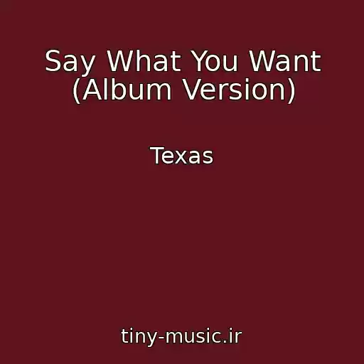 کاور آهنگ Say What You Want (Album Version) از Texas