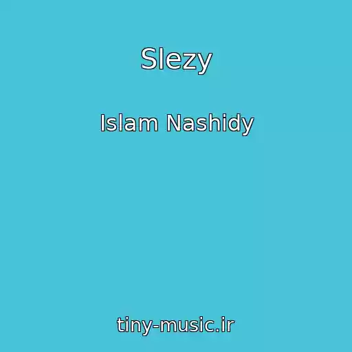 کاور آهنگ Slezy از Islam Nashidy