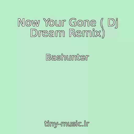 کاور آهنگ Now Your Gone ( Dj Dream Remix) از Bashunter