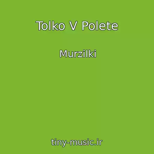 کاور آهنگ Tolko V Polete از Murzilki
