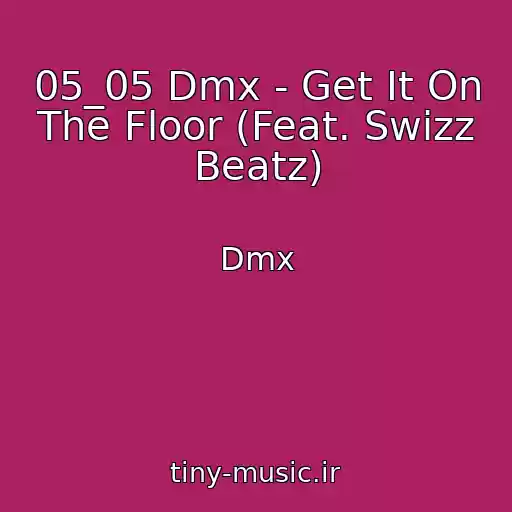 کاور آهنگ 05_05 Dmx - Get It On The Floor (Feat. Swizz Beatz) از Dmx