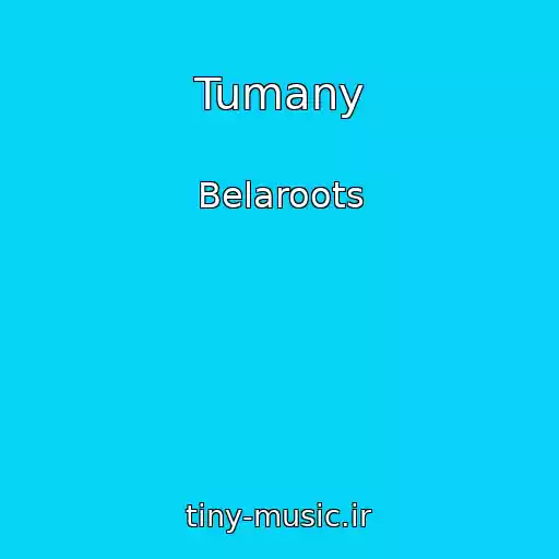 کاور آهنگ Tumany از Belaroots