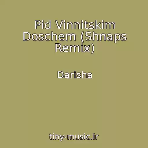 کاور آهنگ Pіd Vіnnitskim Doschem (Shnaps Remix) از Darisha