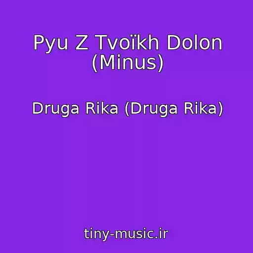 کاور آهنگ Pyu Z Tvoїkh Dolon (Minus) از Druga Rіka (Druga Rika)