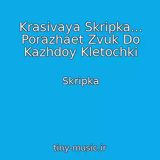 کاور آهنگ Krasivaya Skripka... Porazhaet Zvuk Do Kazhdoy Kletochki از Skripka