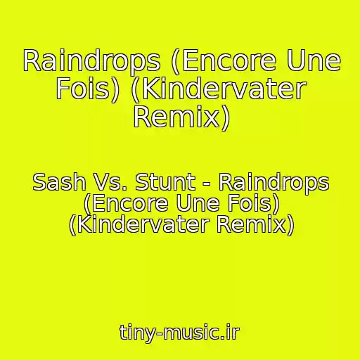 کاور آهنگ Raindrops (Encore Une Fois) (Kindervater Remix) از Sash Vs. Stunt - Raindrops (Encore Une Fois) (Kindervater Remix)