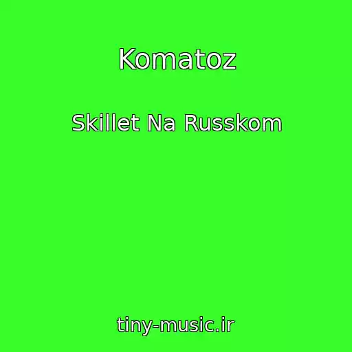 کاور آهنگ Komatoz از Skillet Na Russkom