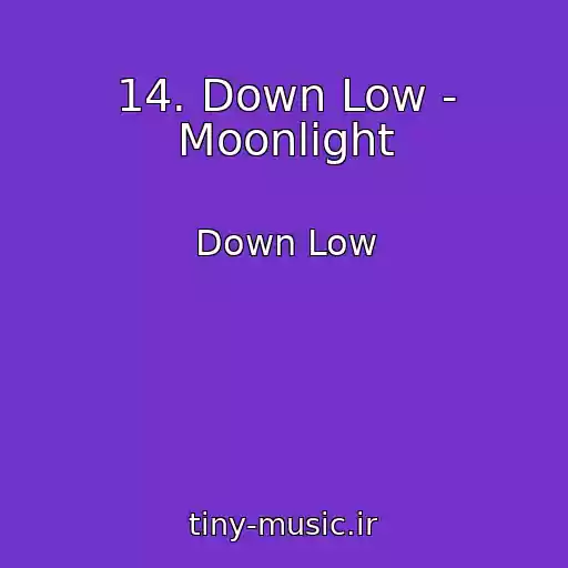 کاور آهنگ 14. Down Low - Moonlight از Down Low