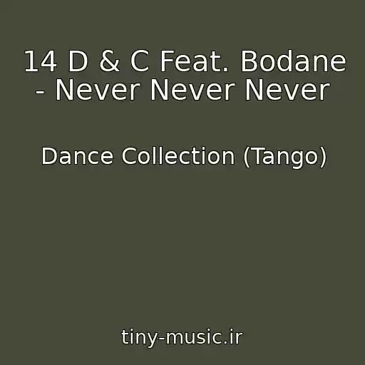 کاور آهنگ 14 D & C Feat. Bodane - Never Never Never از Dance Collection (Tango)