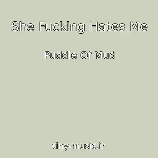 کاور آهنگ She Fucking Hates Me از Puddle Of Mud