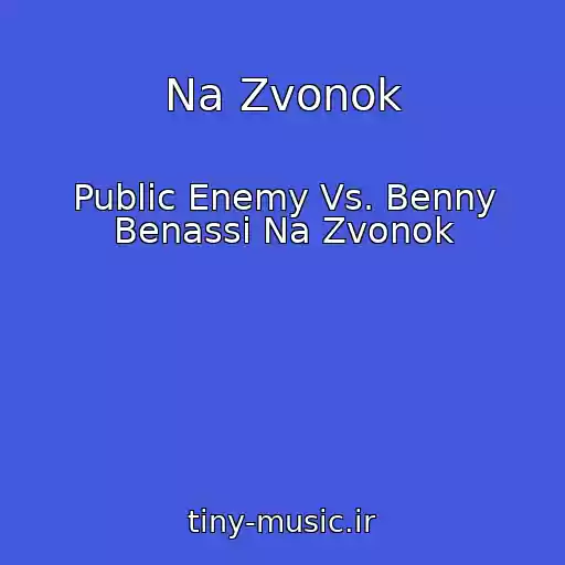 کاور آهنگ Na Zvonok از Public Enemy Vs. Benny Benassi Na Zvonok