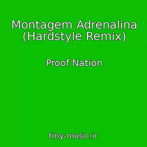 کاور آهنگ Montagem Adrenalina (Hardstyle Remix) از Proof Nation