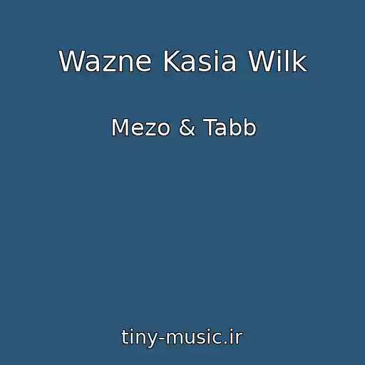 کاور آهنگ Wazne Kasia Wilk از Mezo & Tabb