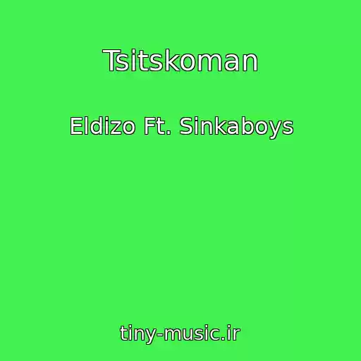کاور آهنگ Tsitskoman از Eldizo Ft. Sinkaboys