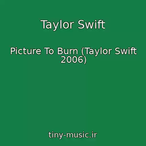 کاور آهنگ Taylor Swift از Picture To Burn (Taylor Swift 2006)