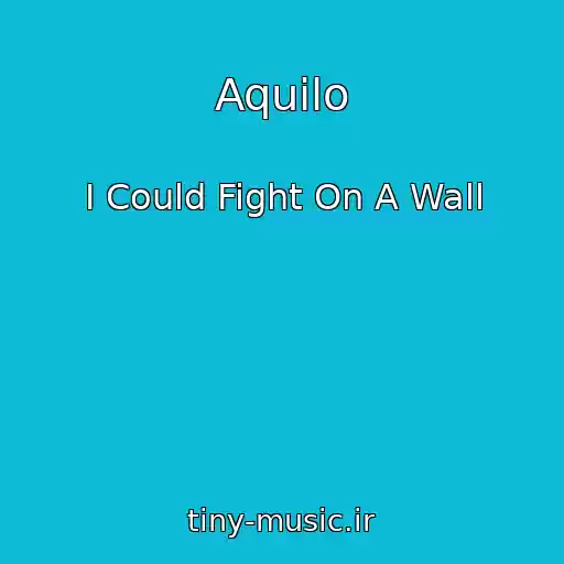 کاور آهنگ Aquilo از I Could Fight On A Wall