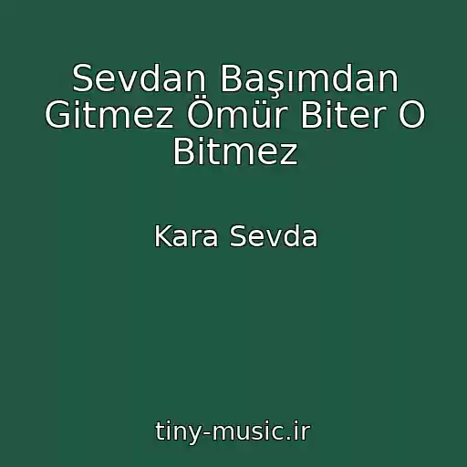 کاور آهنگ Sevdan Başımdan Gitmez Ömür Biter O Bitmez از Kara Sevda