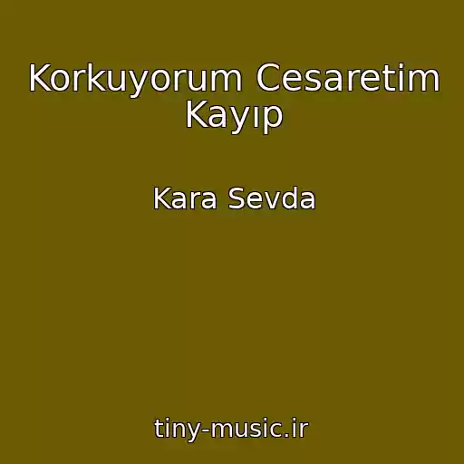 کاور آهنگ Korkuyorum Cesaretim Kayıp از Kara Sevda
