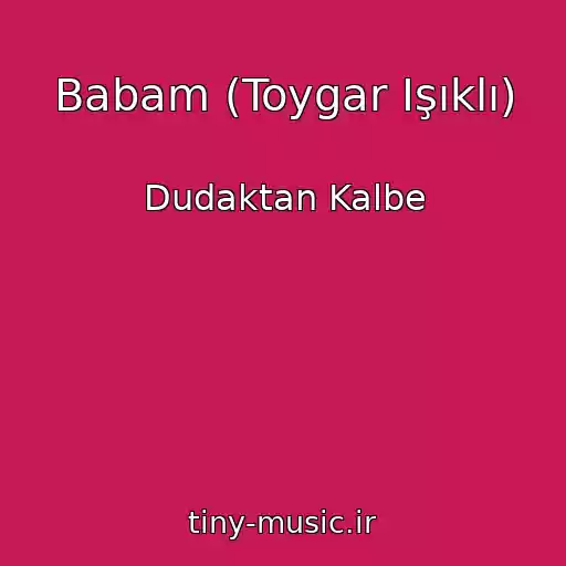 کاور آهنگ Babam (Toygar Işıklı) از Dudaktan Kalbe