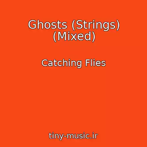 کاور آهنگ Ghosts (Strings) (Mixed) از Catching Flies
