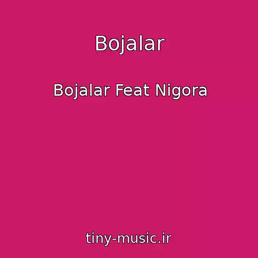 کاور آهنگ Bojalar از Bojalar Feat Nigora