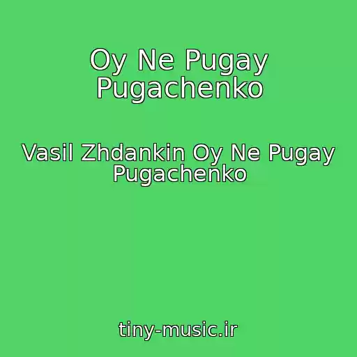 کاور آهنگ Oy Ne Pugay Pugachenko از Vasil Zhdankіn Oy Ne Pugay Pugachenko
