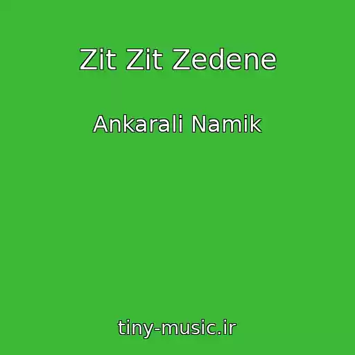 کاور آهنگ Zit Zit Zedene از Ankarali Namik