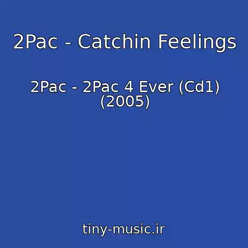کاور آهنگ 2Pac - Catchin Feelings از 2Pac - 2Pac 4 Ever (Cd1) (2005)