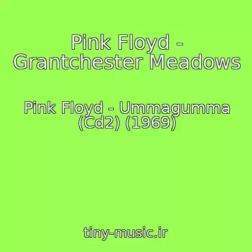 کاور آهنگ Pink Floyd - Grantchester Meadows از Pink Floyd - Ummagumma (Cd2) (1969)