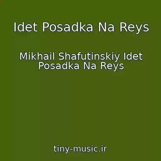 کاور آهنگ Idet Posadka Na Reys از Mikhail Shafutinskiy Idet Posadka Na Reys