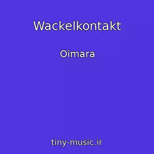 کاور آهنگ Wackelkontakt از Oimara