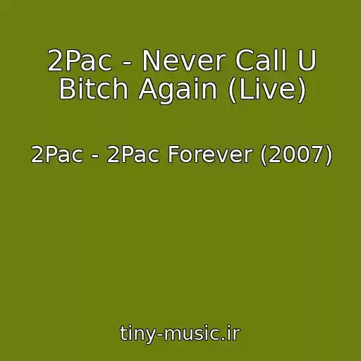 کاور آهنگ 2Pac - Never Call U Bitch Again (Live) از 2Pac - 2Pac Forever (2007)