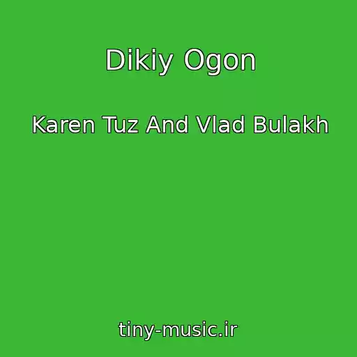 کاور آهنگ Dikiy Ogon از Karen Tuz And Vlad Bulakh
